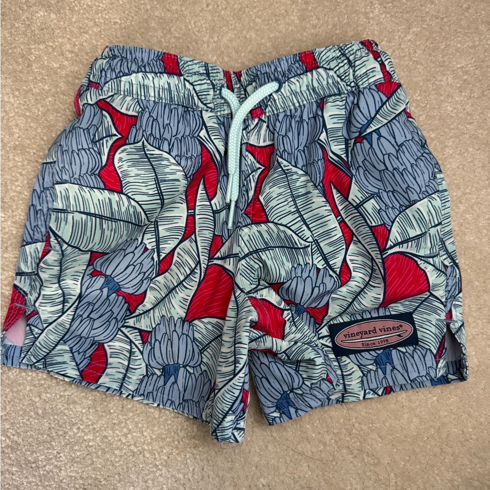 2T Vineyard Vines swim trunks